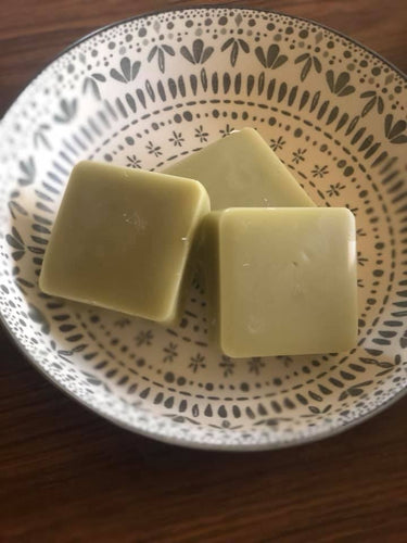 Conditioner bar- Camelia seed and horsetail